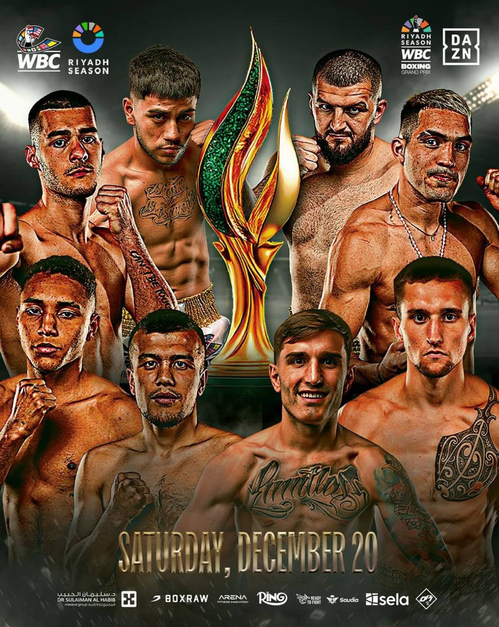 WBC Boxing Grand Prix: Finals