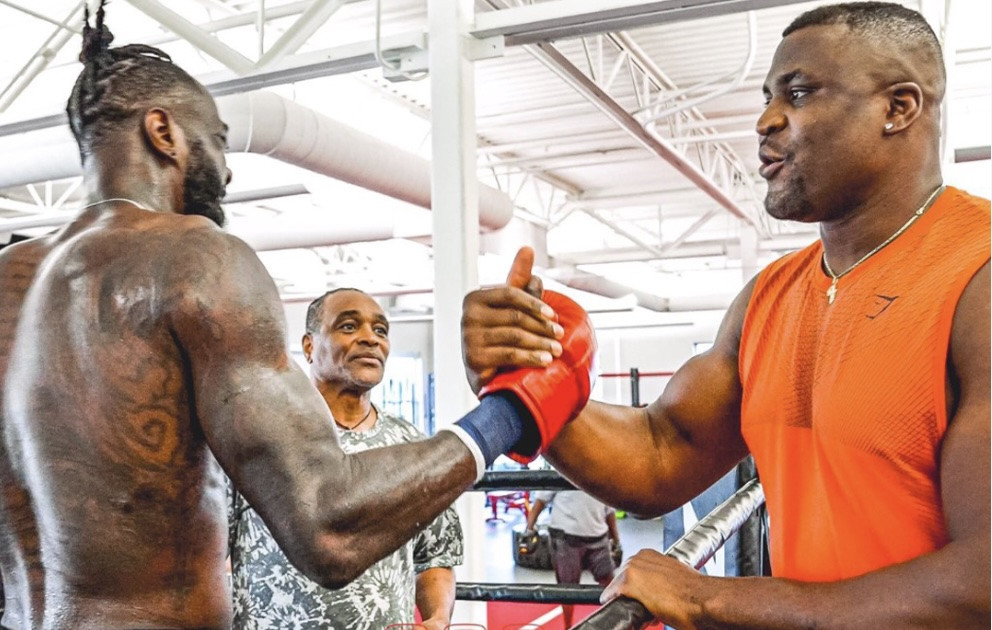 Wilder tells Ngannou to “step Into the ring”